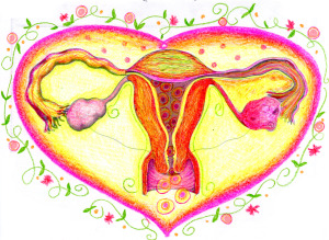 uterus